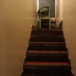Il Passerotto Dentro