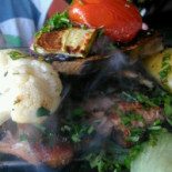 Shark Cibo