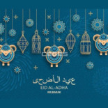 كبدة بركات Piatti