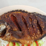 Taverna Coppapan Nourriture
