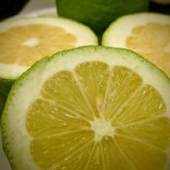 Commercio Bebida