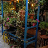 Peppa Bistrot