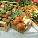 Osteria Del Fico Vecchio food