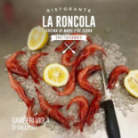 La Roncola Carta