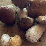 La Roncola Boisson