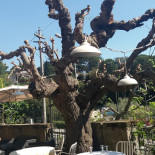 Osteria Del Fico Vecchio drink