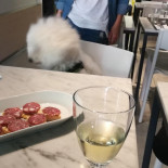 Bistro Nonsolopasta Boisson