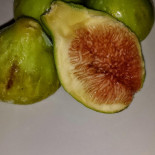 I Ricci Officina Del Gusto Boisson