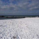 Reef Village Fiumicino outside