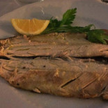 Il Porticciolo food