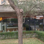Pico Exterior