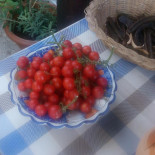 Alberto Comida