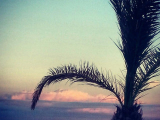 Punta Faro Beach