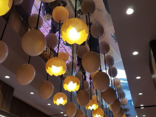 Opollo