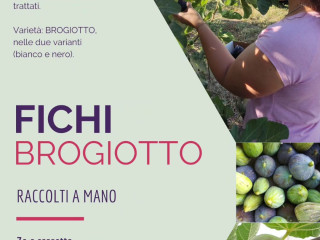 Azienda Agricola Cascine Bellini