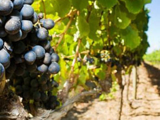 Agriturismo Da Muner