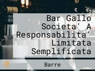 Bar Gallo Societa' A Responsabilita' Limitata Semplificata