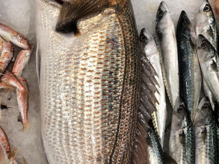 Pescheria Onda Blu Taranto