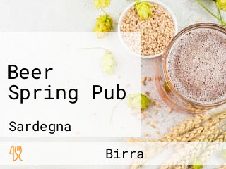 Beer Spring Pub