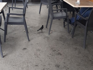 Cafe Du Monde