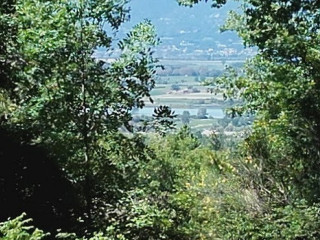 Francescano