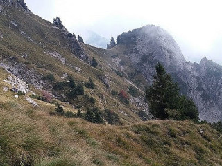 Da Grisu