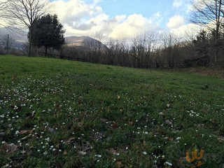 Agirturismo Tenuta Montelaura