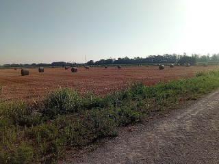 Al Traliccio