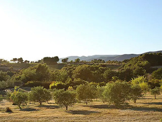 Cristoni Celestino