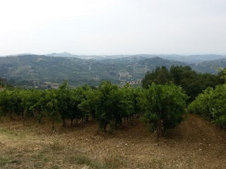 Paradiso