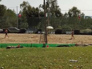 Taraxi