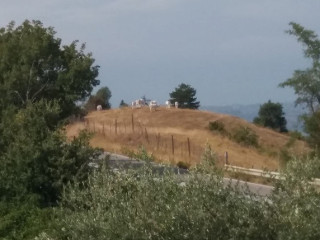 La Rustica