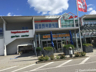 Oasi