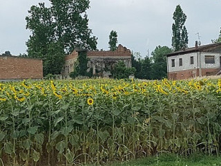 Le Fornacine