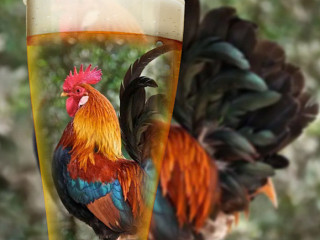 San Michele Aveva Un Gallo Birra E Cucina