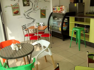 Open Baladin Cuneo
