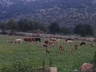 Agriturismo Posta Monaca