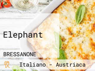 Elephant
