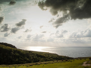 La Monnalisa