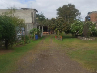 Bregolana