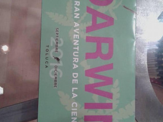 Phelipe Caffe Pavi