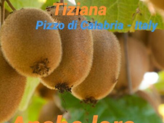 Zio Sem