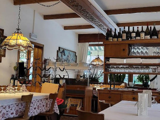 'la Mandragola ' Di Mauro Lio