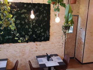Terracotta Osteria Pinseria Pizzeria