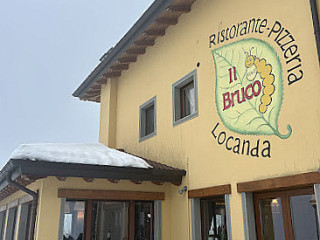 Il Bruco