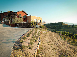 Il Conte Villa Prandone Soc Agricola