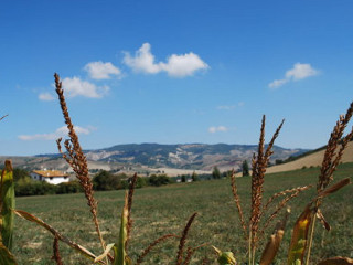Agriturismo Il Gelso