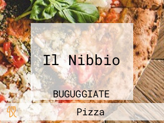 Il Nibbio