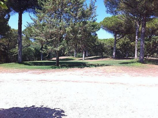 Da Patrizia