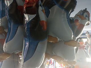 Dolfin